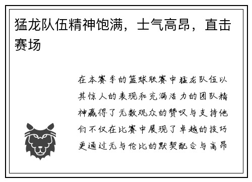 猛龙队伍精神饱满,士气高昂,直击赛场
